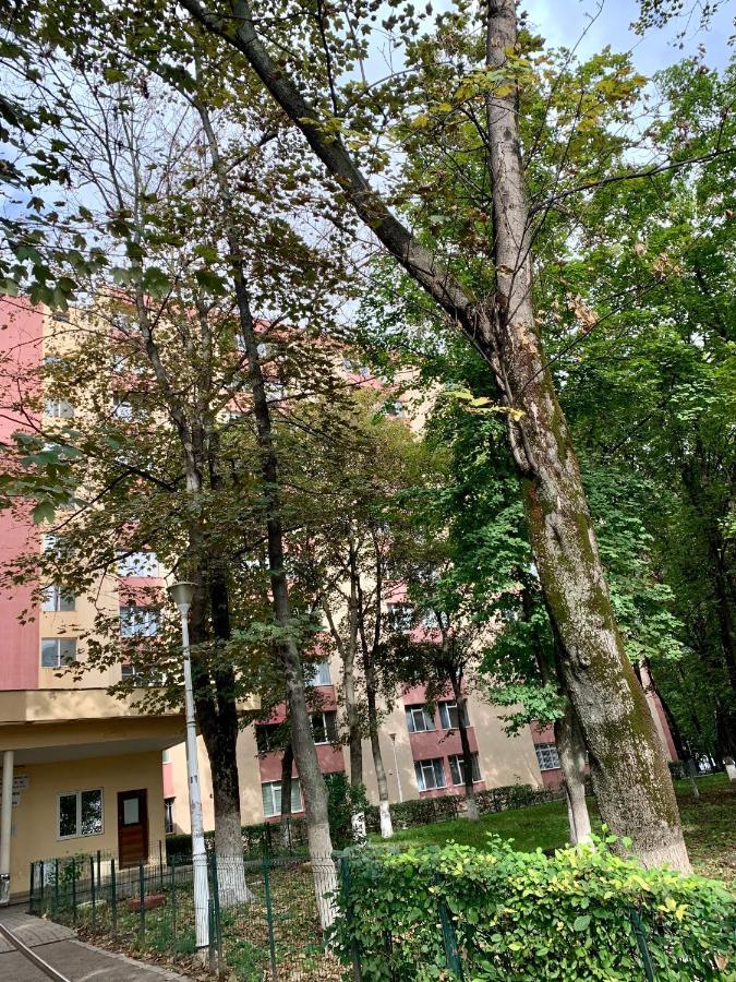 Luand Apartament Iasi Exterior photo